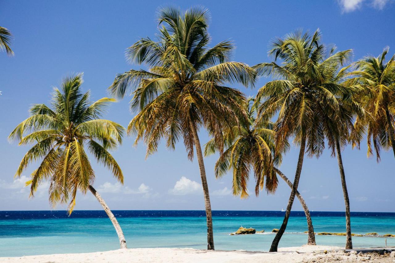 Готель The Liming Bequia Friendship Екстер'єр фото